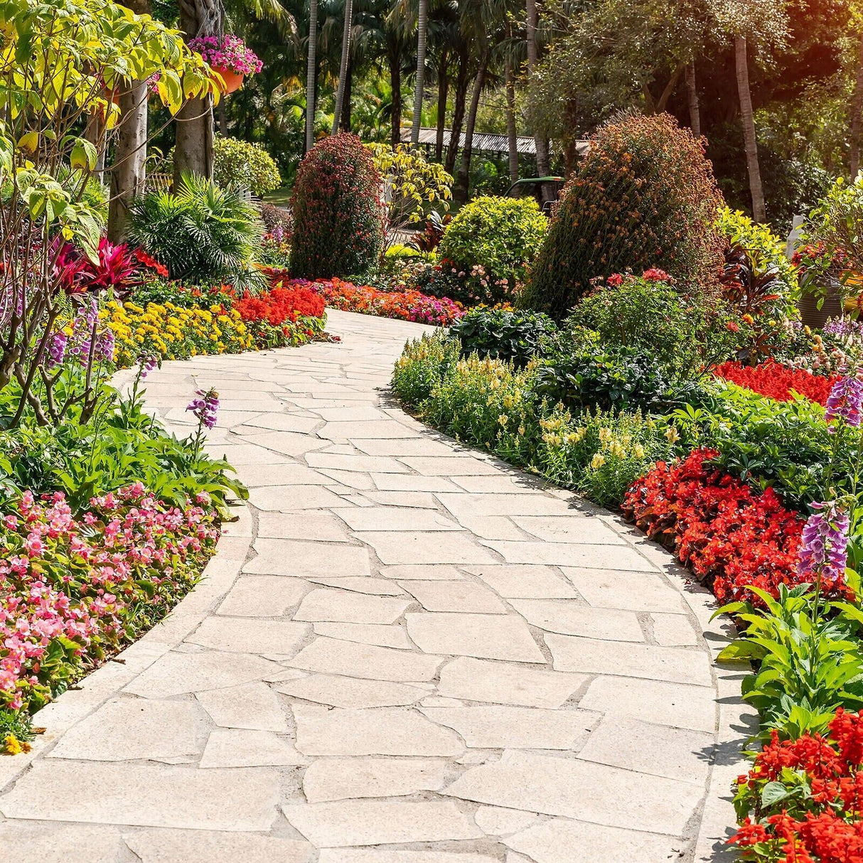 Decking Pathways Cleaner 5L