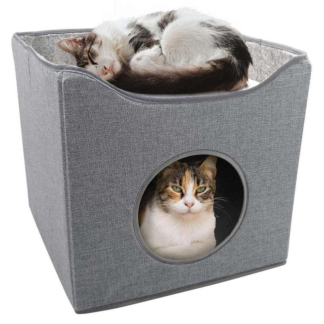 Folding Single Cat House