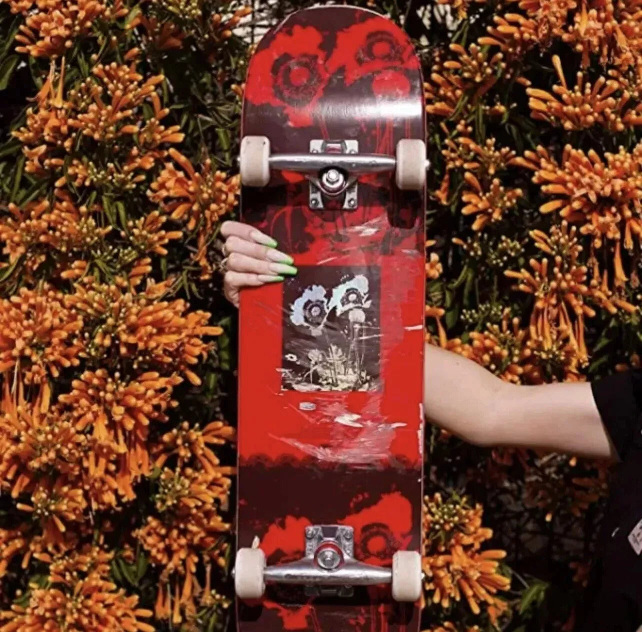 Poppy Skateboard 8"